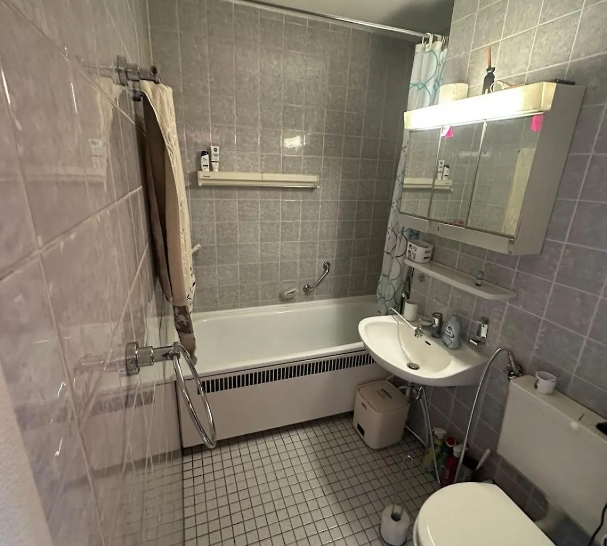 Middle Of Frankfurt - High Tech Business Studio - Move-In - Ideal For Single Business Person Frankfurt am Main 0*,  Germany